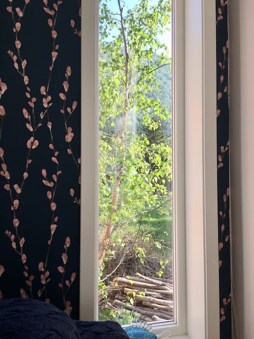 The view from bed is extraordinary with a blink of sky, mountain and birk tree.