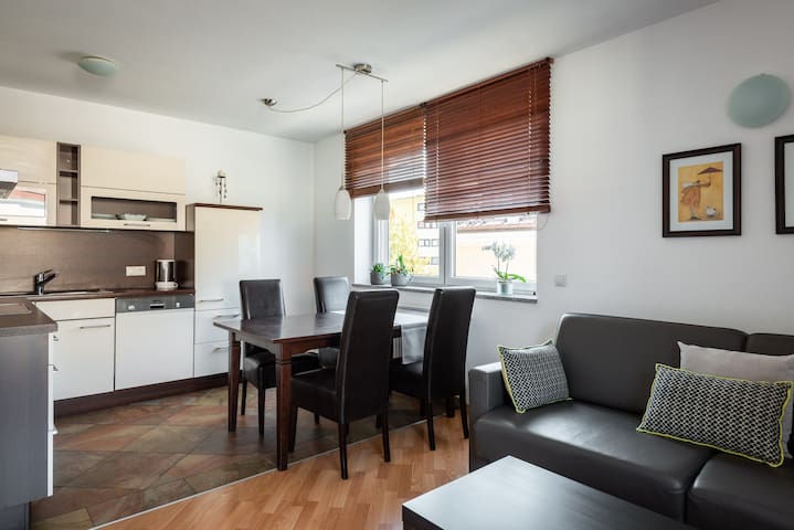 Beautiful Penthouse in Salzburg 2