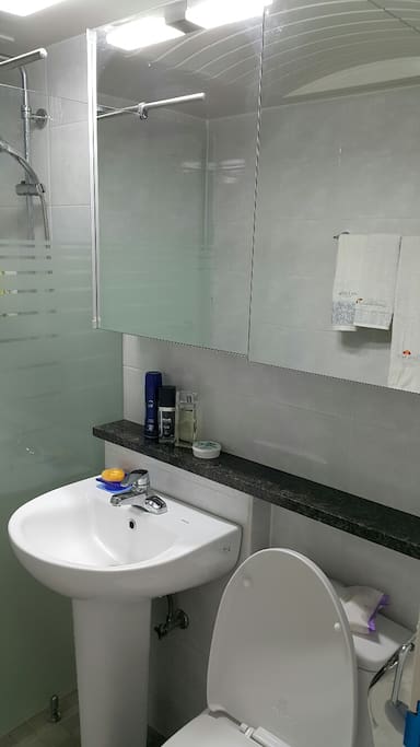 toilet