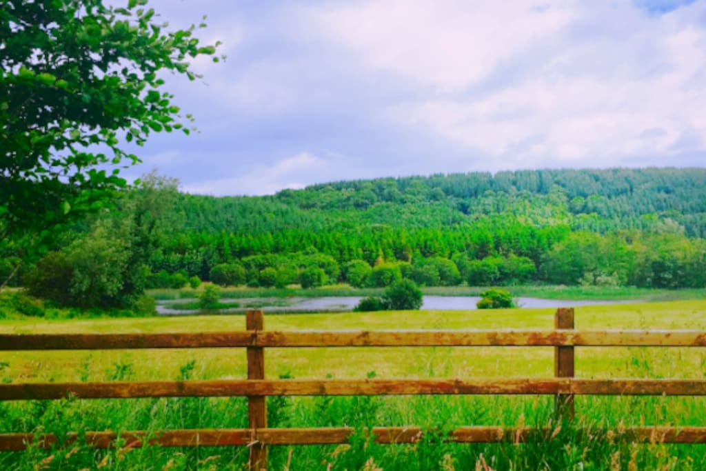 View of the lake from the back garden