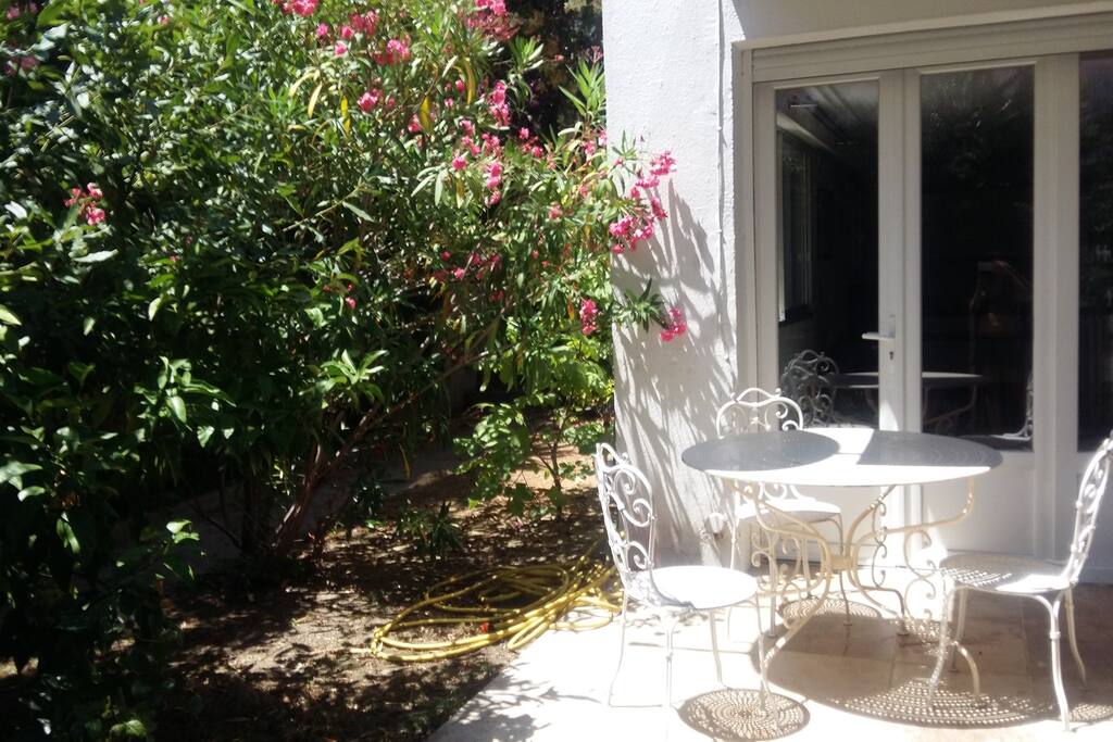 Jardin // Garden