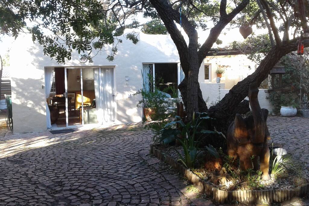 Trees and Birdlife outside Cottage