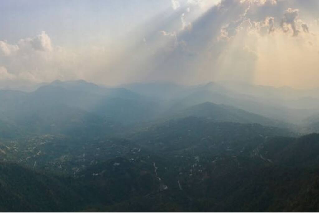 View!