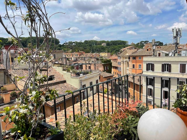 The view in trastevere
