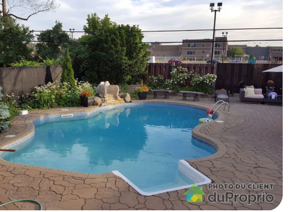 Our backyard provides a small haven and a great place to cool off.