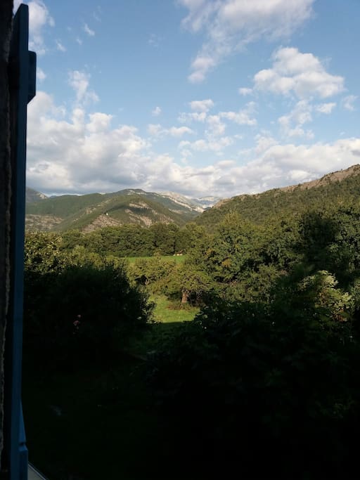 Vue de la chambre