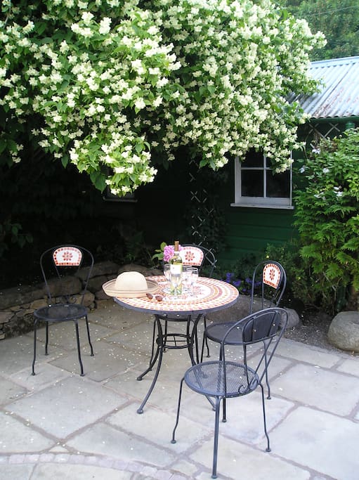 Time for a quiet drink under the philadelphus in June