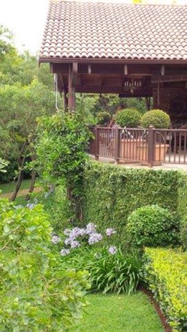 Garden view