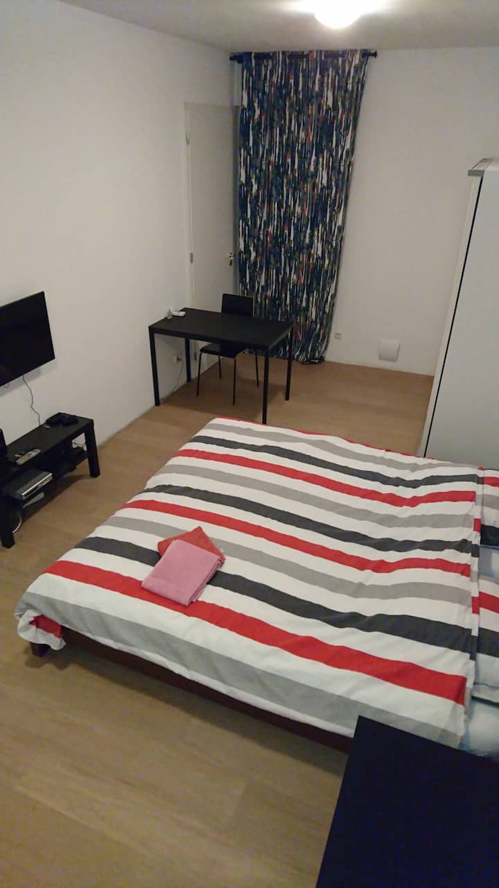 Room With Private Bathroom In The Hague. - South Holland