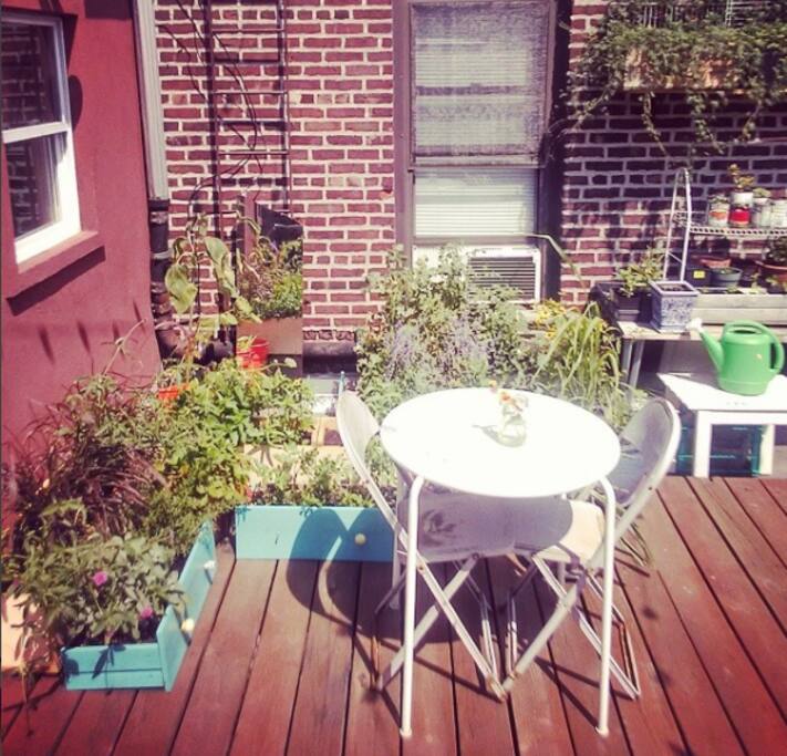 The patio