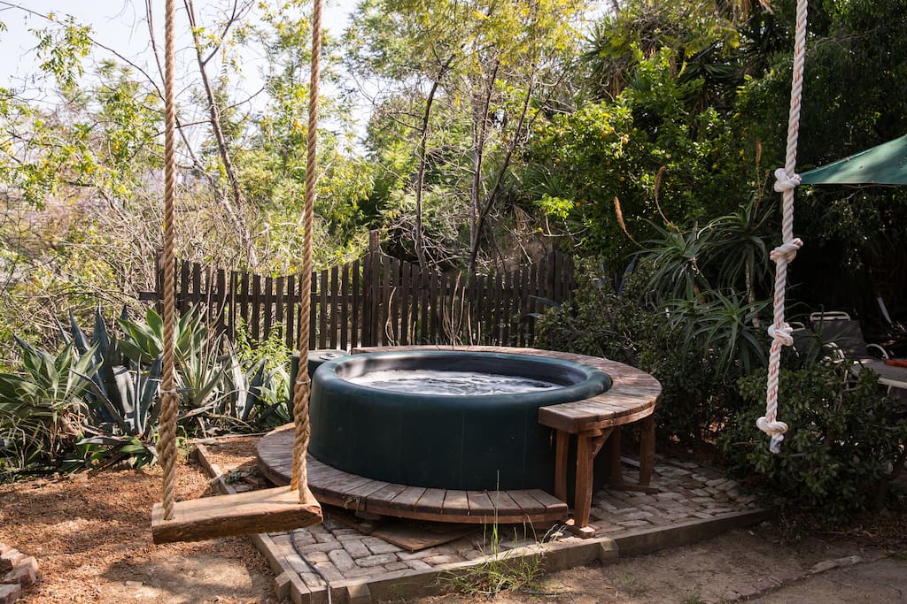Our rope swing and jacuzzi in our backyard with lucious trees and succulents.