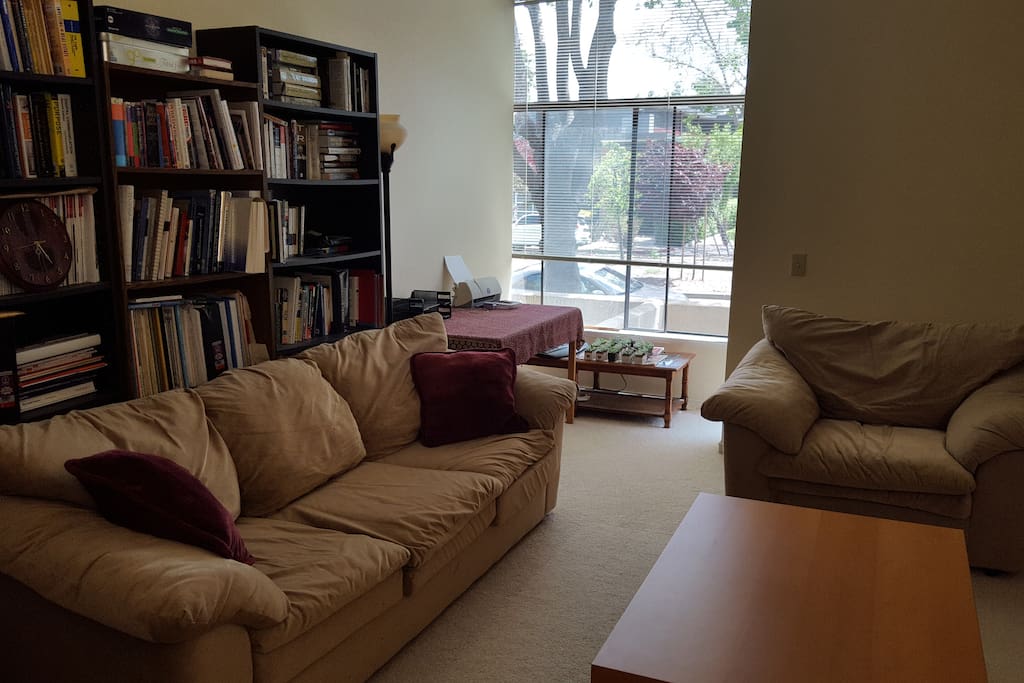 Comfortable couches in downstairs living room