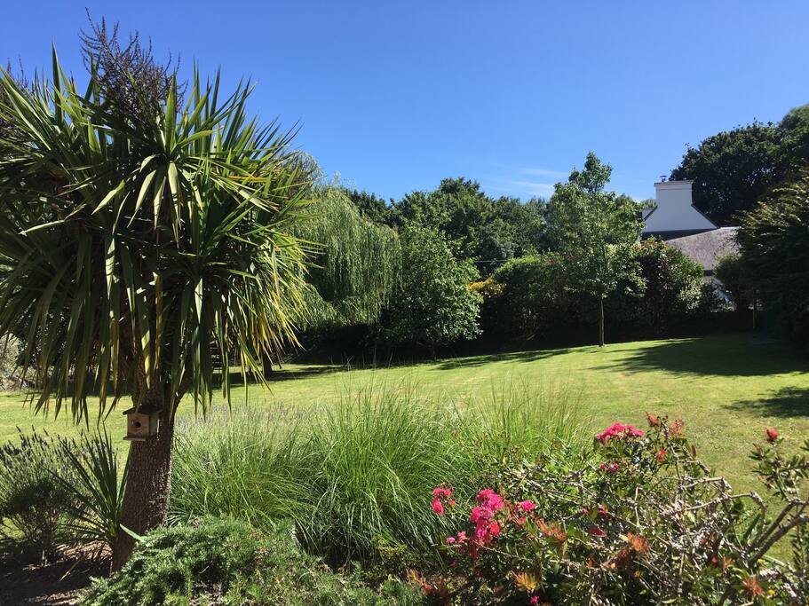 Jardin vu de la terrasse