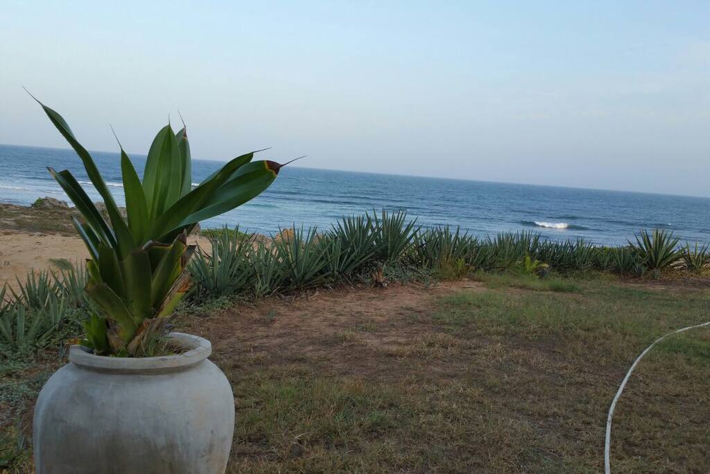 Access to the beach outside apartment