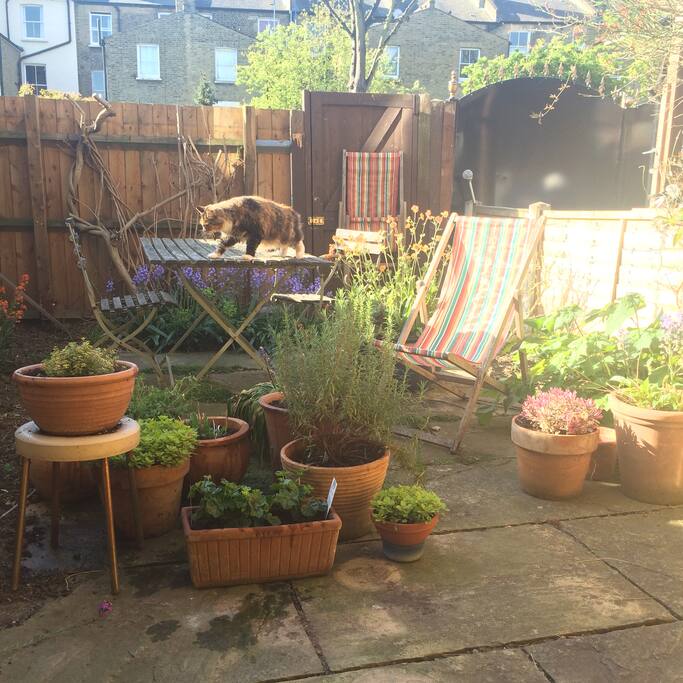 Sadly the cat is not part of the listing