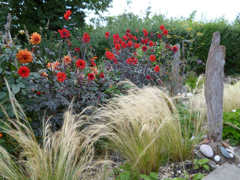 One of the many areas of a very large garden.
