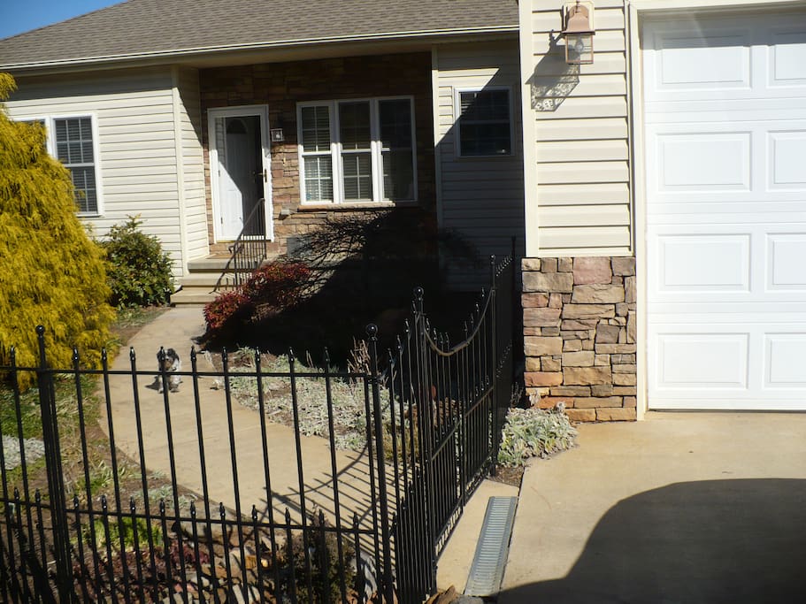 Front yard with our little dog Ce Ce.