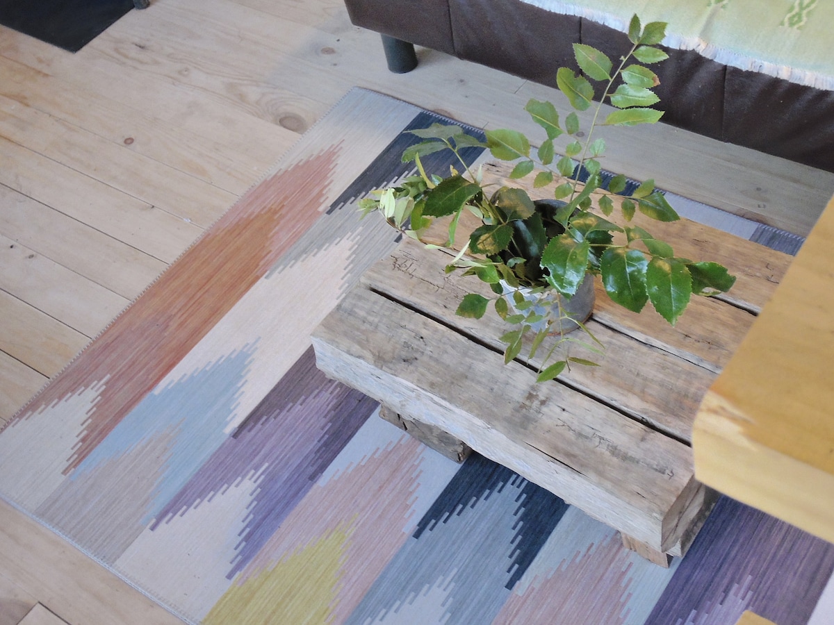 A rustic wooden coffee table is positioned atop a colorful, patterned area rug. A small potted plant with leaves is placed on the table, adding a touch of greenery to the space. Light wooden flooring complements the natural elements in the room.