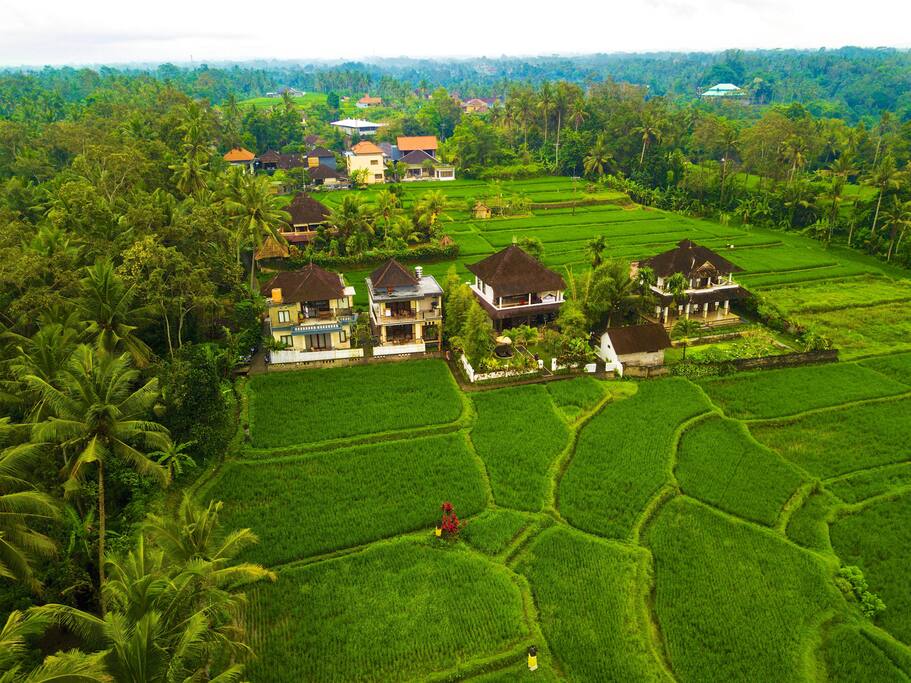 Birds Eye View of the Property