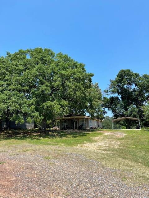 Oak Hill Cottage- SFA Alumni owned