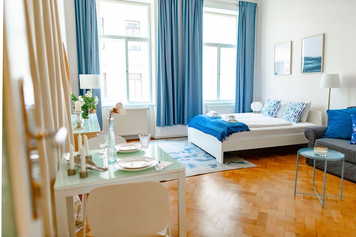 Typical Viennese Apartment 7 min by feet to center