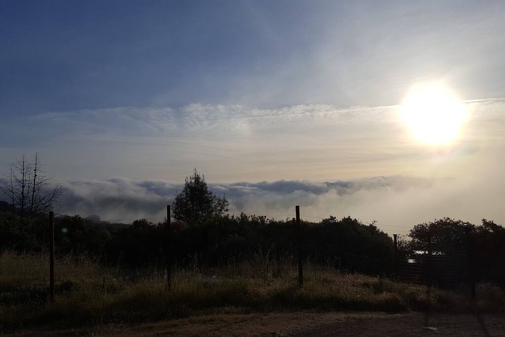 Morning view with the occasional year-round coastal morning fog down in the valley