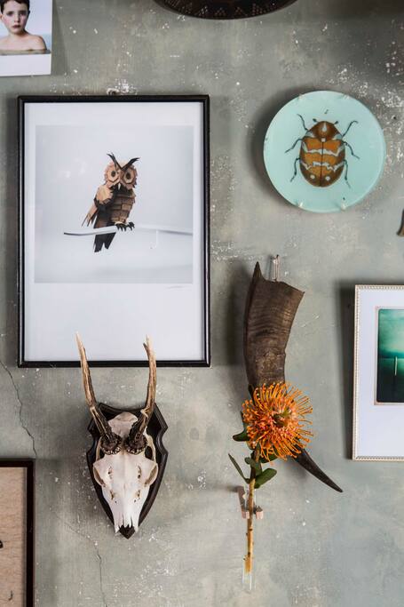 Close up from the living room's gallery wall.