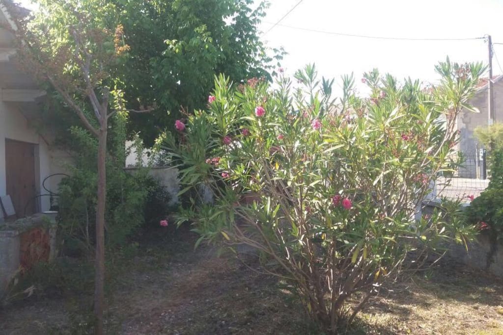 Jardin