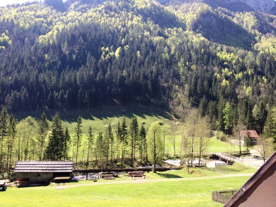Beautiful view