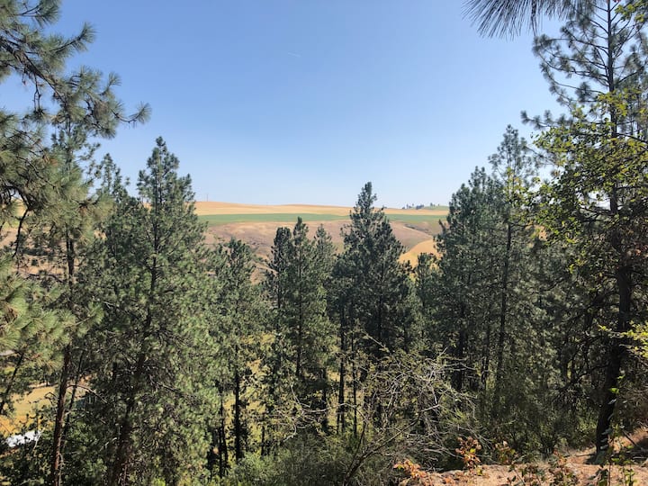 Garfield Ferienwohnungen & Unterkünfte Washington, Vereinigte Staaten