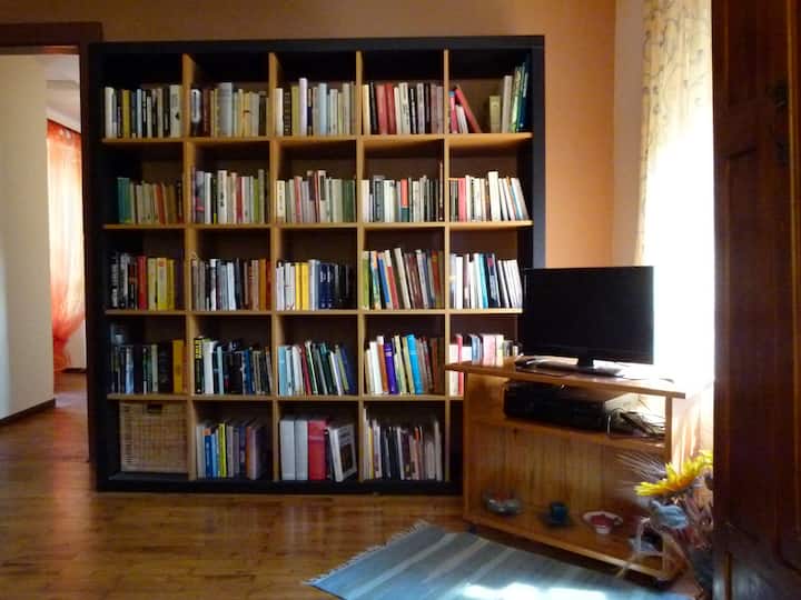 il salotto con i libri e la tv
