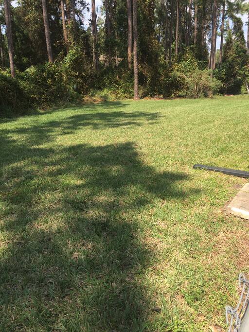 Back yard