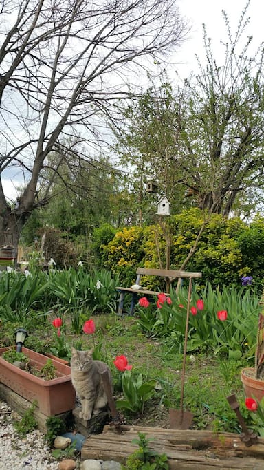 Le jardin
