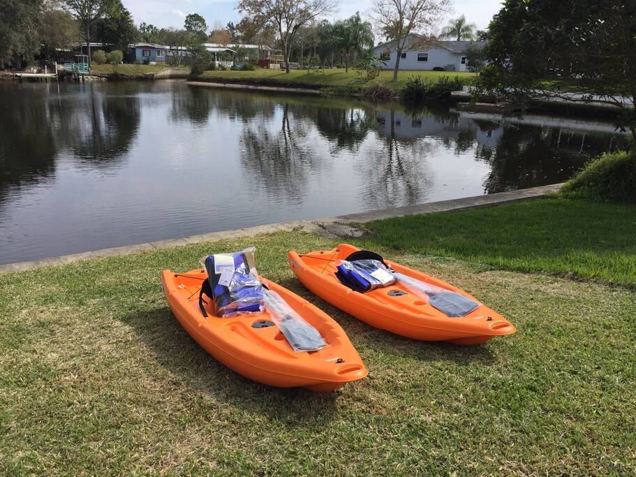 Navigate to the beautiful canals & sea life