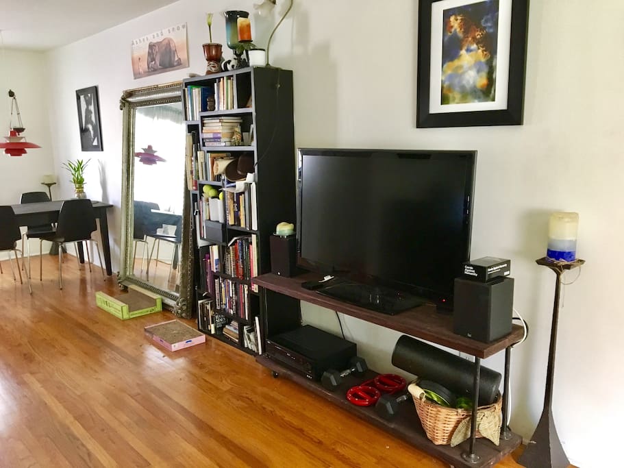 42" Plasma Television on rolling console