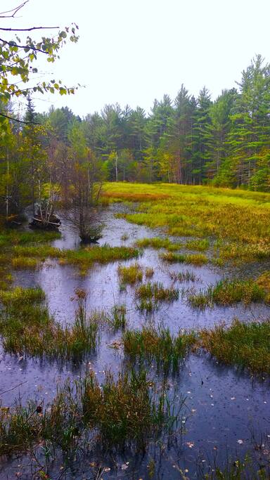 A Birder's Paradise.
