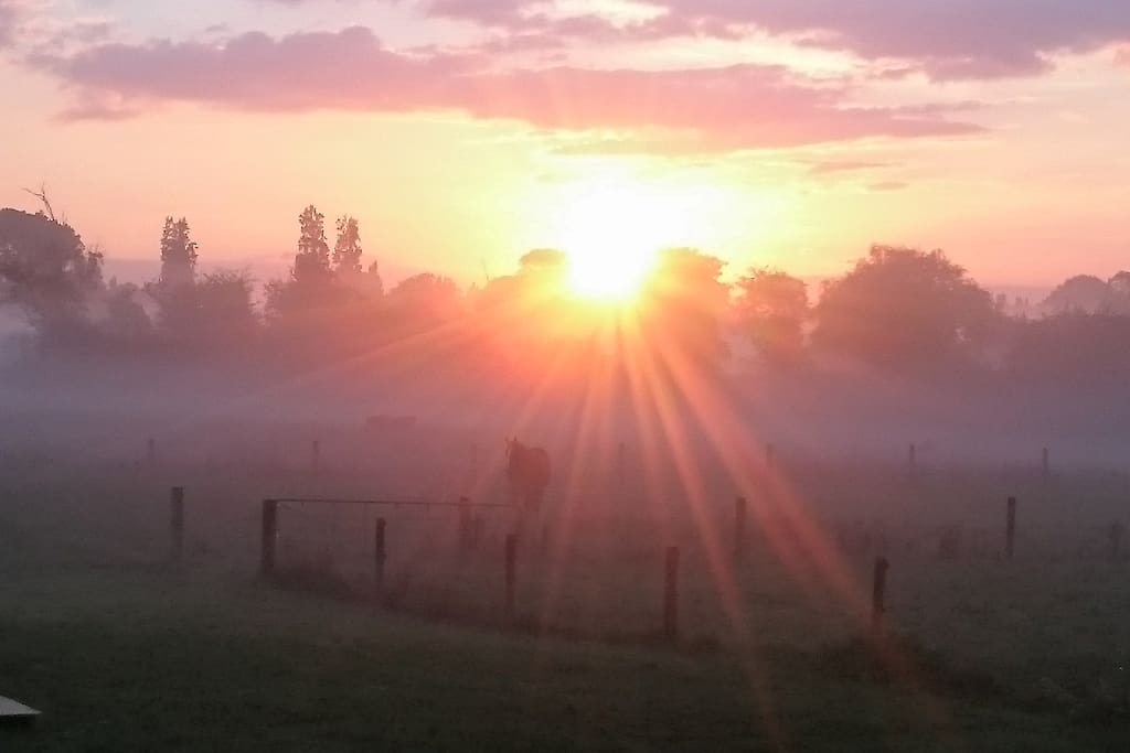 The maiden of the mist