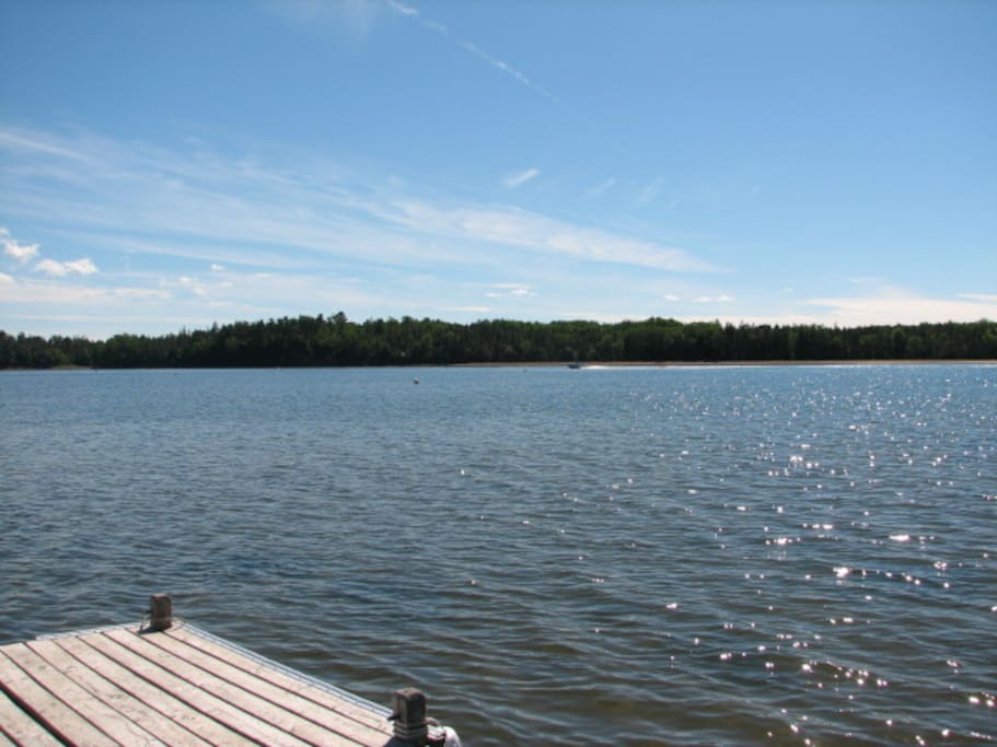 View from the Dock