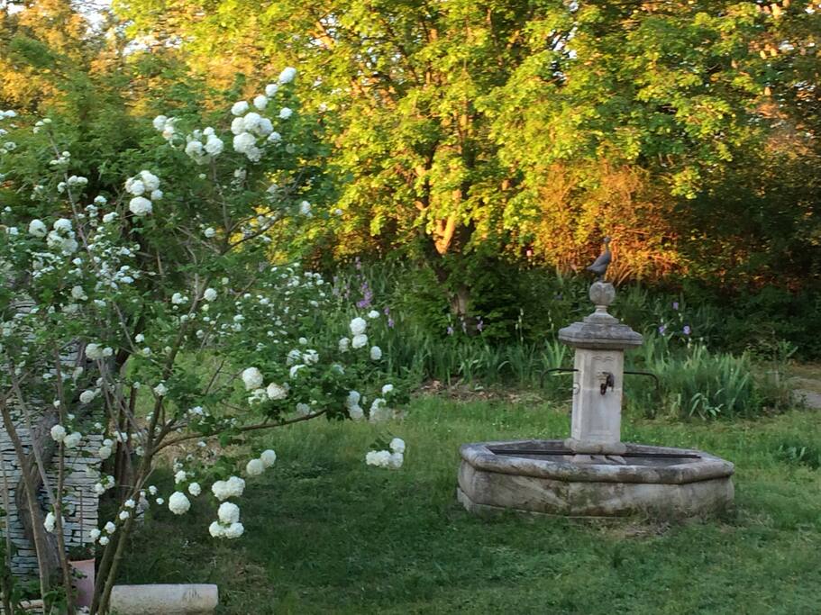 Fontaine