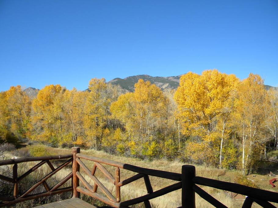 Cottonwood Creek