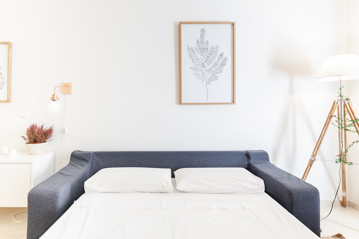 Successful Airbnb property: Spacious apartment in the cathedral area. in Santa Cruz