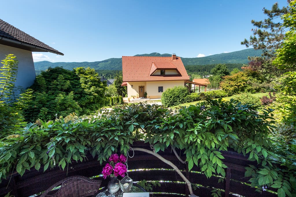 View from the balcony.