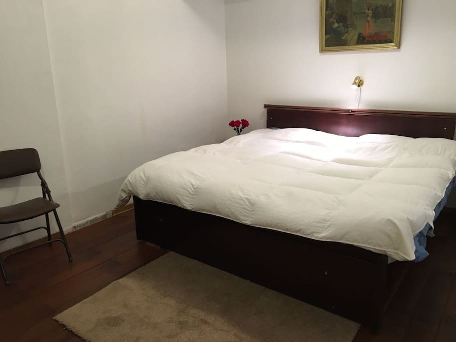 Main bedroom with king matress.