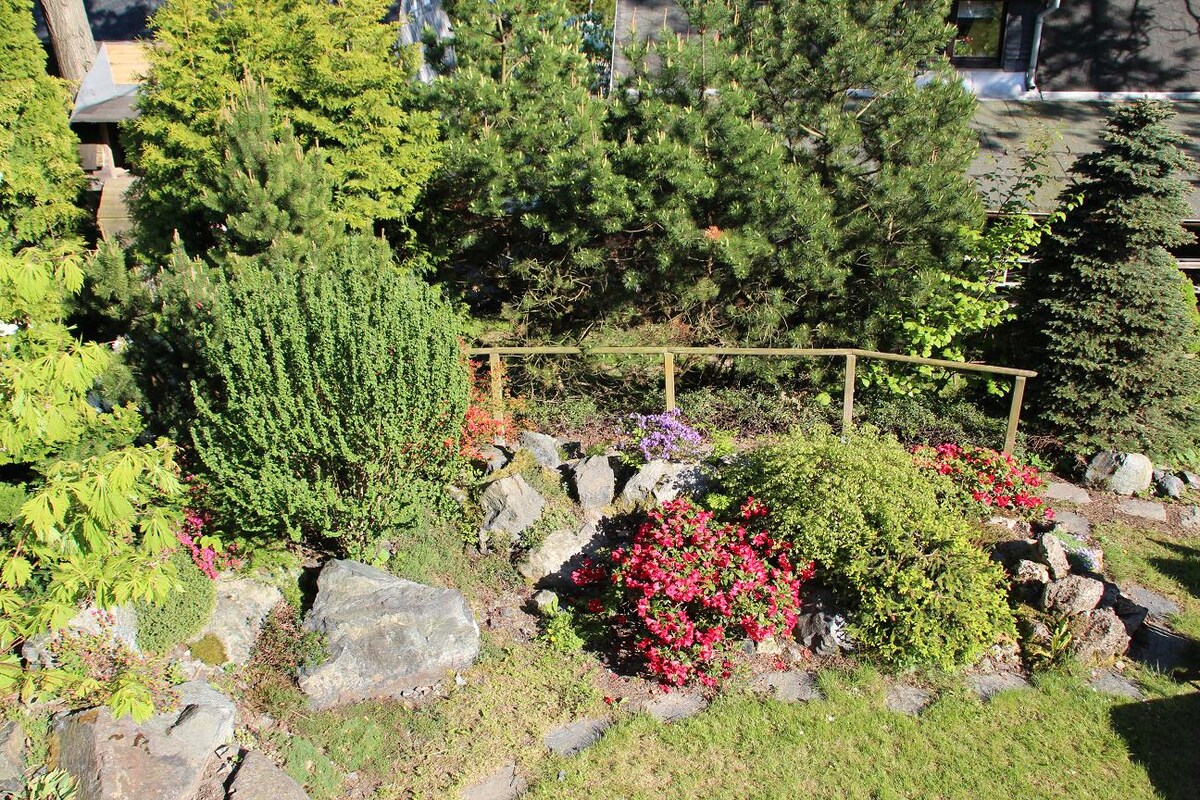 A garden area is displayed, featuring a variety of flowering plants and shrubs along a winding path. Large rocks create natural landscaping, and a wooden fence is visible in the background, enhancing the serene outdoor setting.