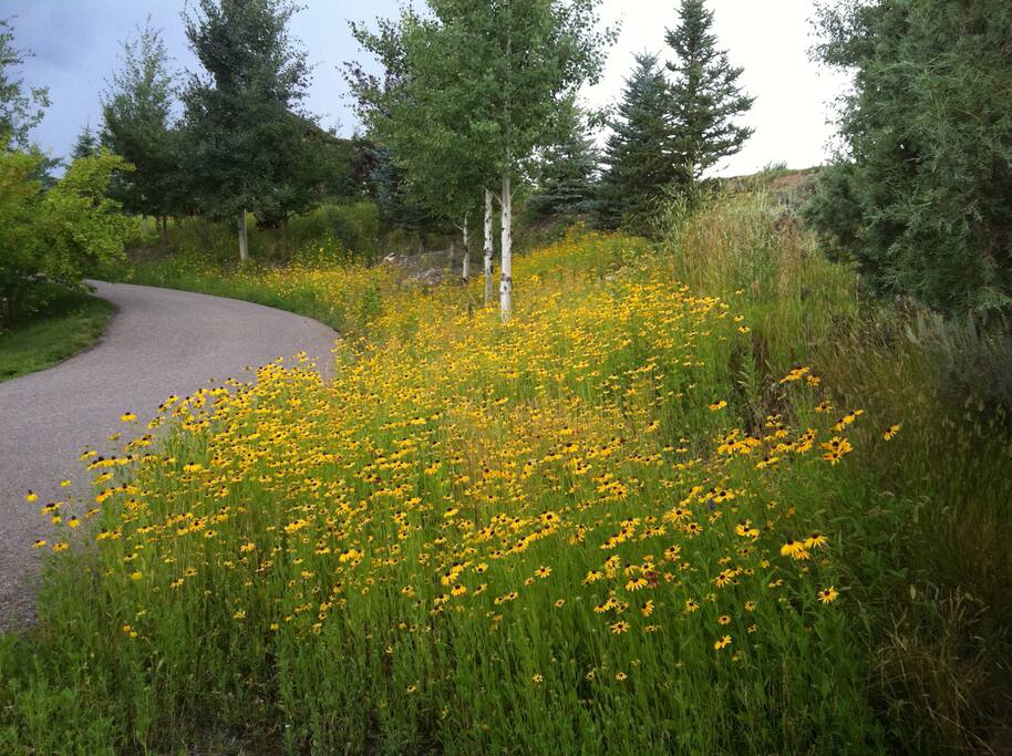 You belong among the wildflowers