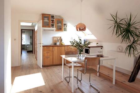 Bright apt. with free parking and free bicycles