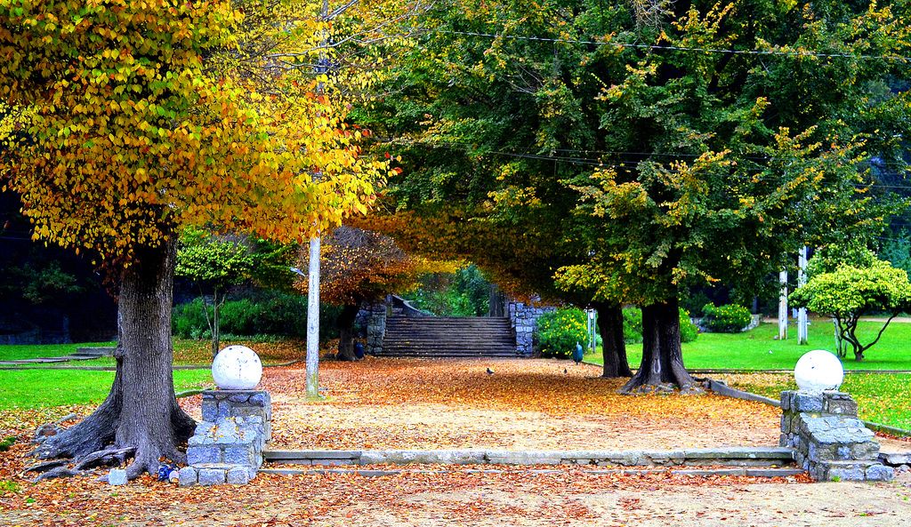 A park pathway is framed by tall trees with autumn foliage, showcasing tones of yellow and green. The ground is covered in fallen leaves, leading to a stone staircase in the background. Round stone markers are positioned at the entrance of the pathway.