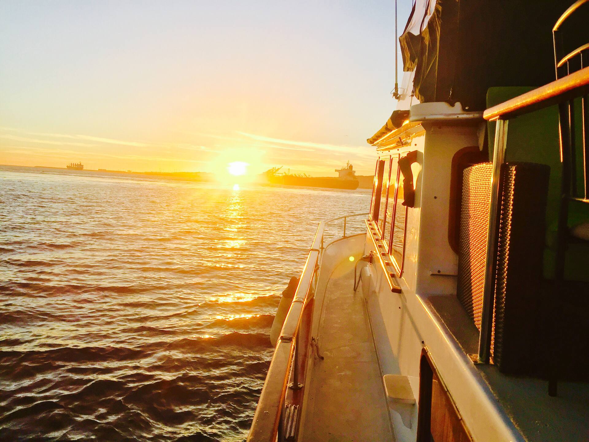 24 Dreamy Airbnb Catalina Island Vacation Rentals 54 Image of Airbnb rental in Catalina Island