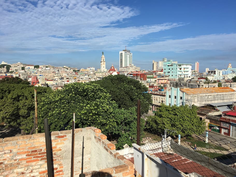 View from the roof top
