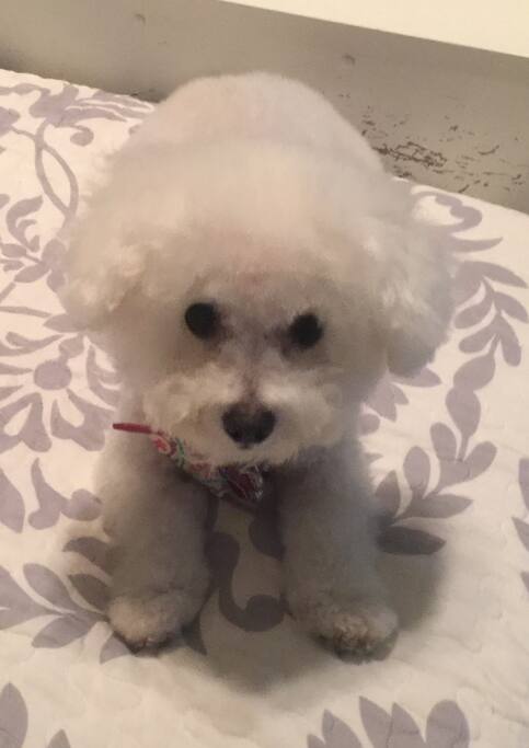 Baby Leia